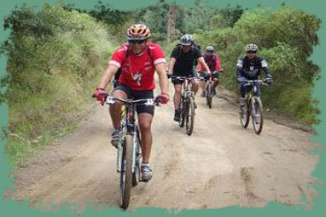 Bicicleta de montaña