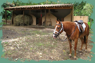 Caballo ensillado